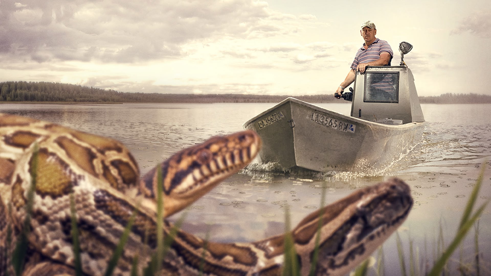 Watch Swamp People: Serpent Invasion Season 3 Online - Stream Full Episodes