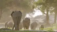 Orizzonti selvaggi d'Africa