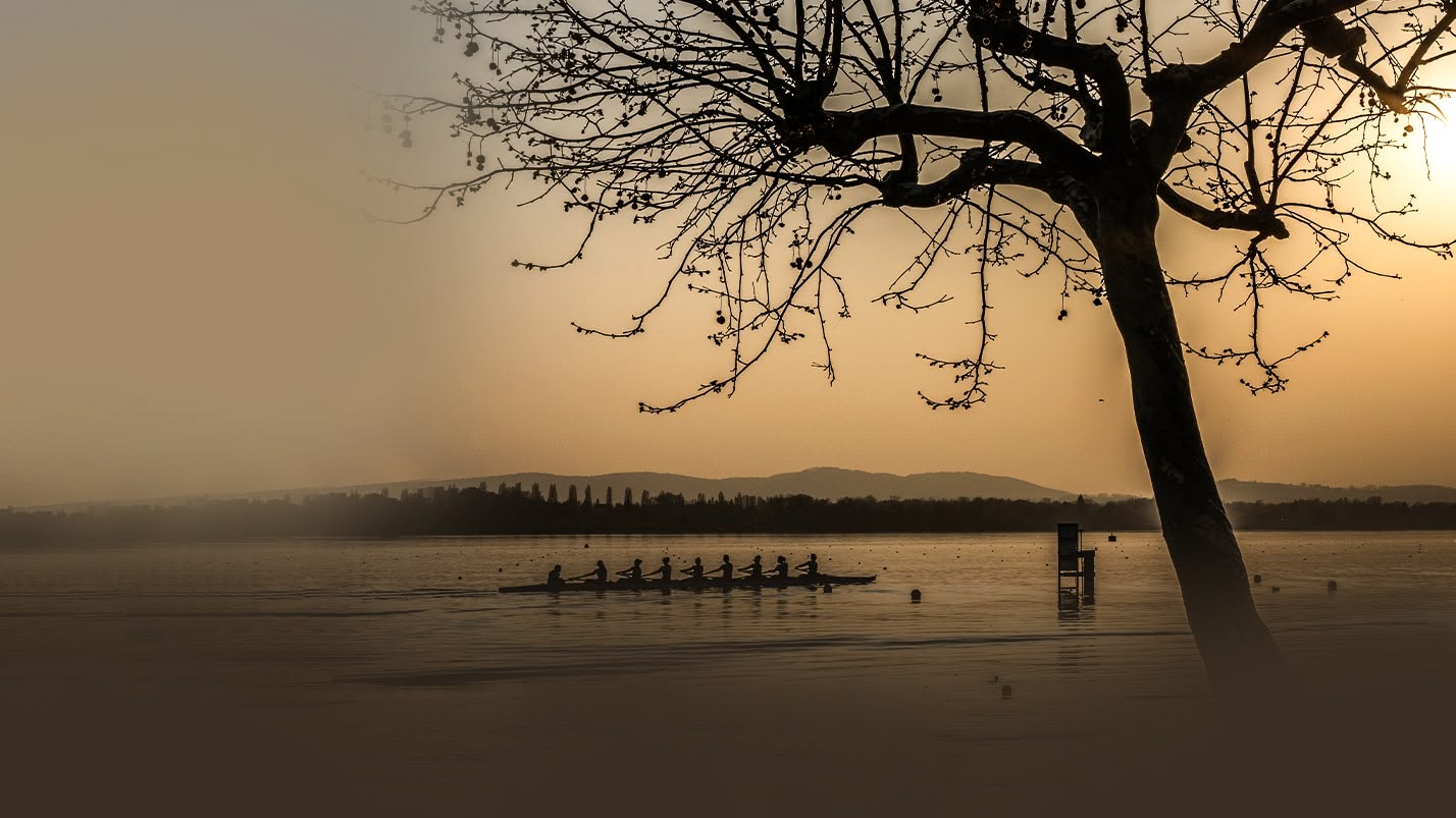 Live: Rowing