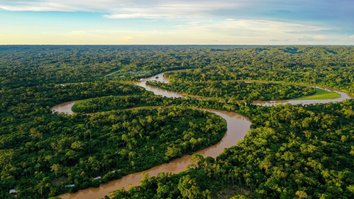Amazzonica, come salvare una foresta